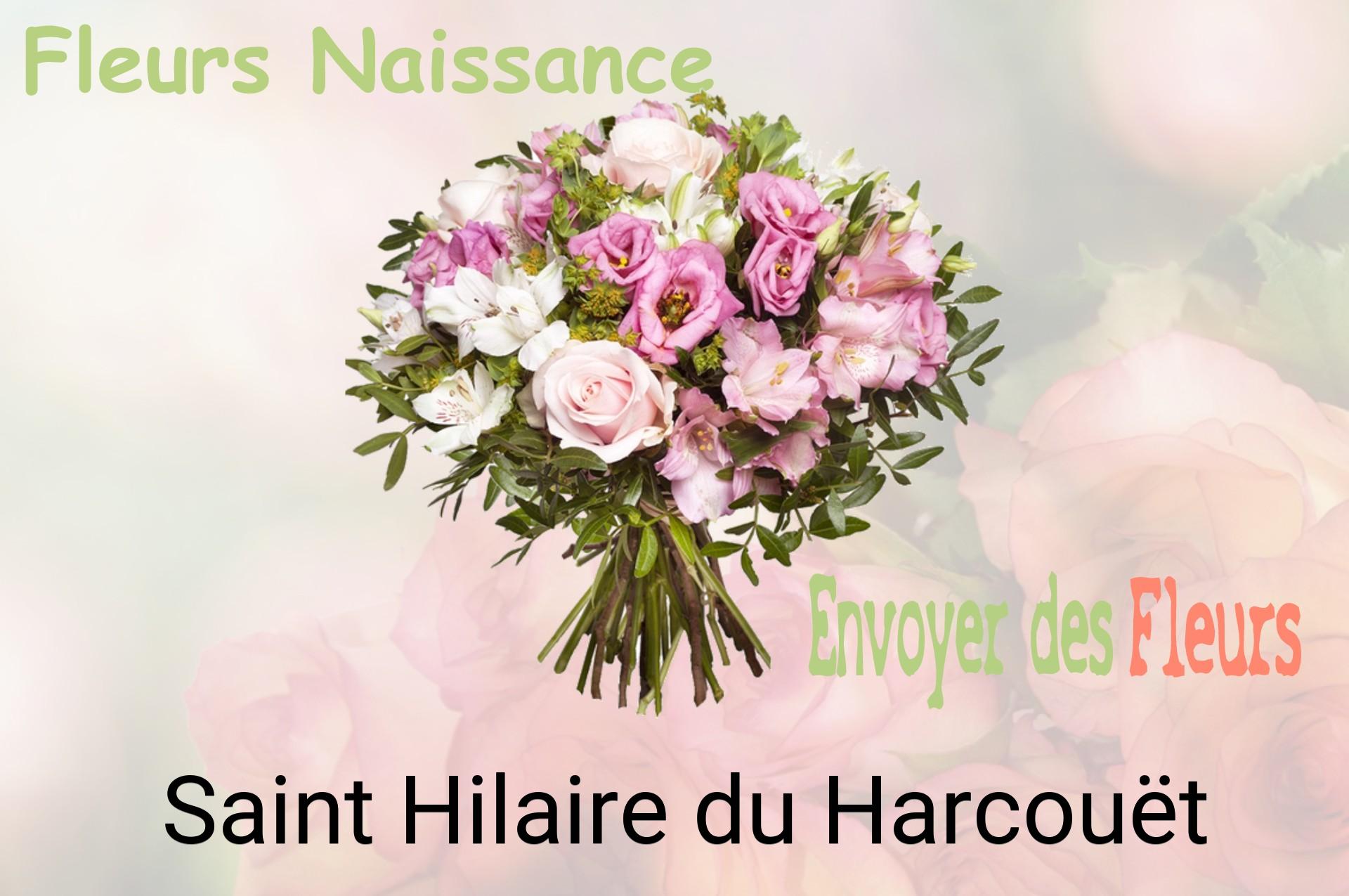 Bouquet de fleurs de naissance livré à Saint-Hilaire-du-Harcouët